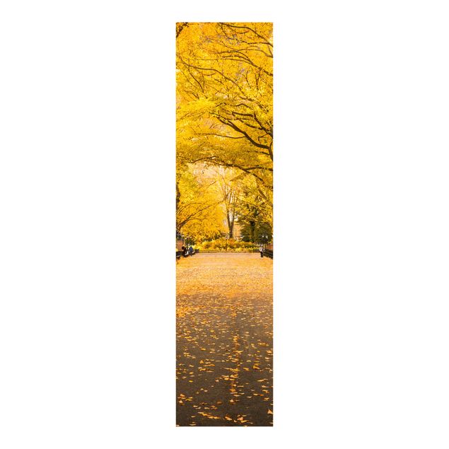 Schuifgordijnen Autumn In Central Park