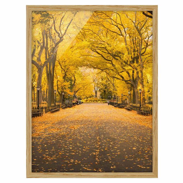 Ingelijste posters Autumn In Central Park