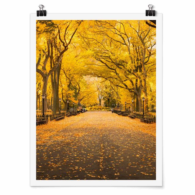 Posters Autumn In Central Park