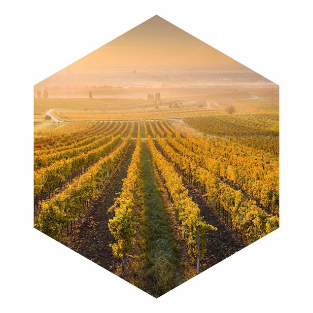 Hexagon Behang Autumnal Vineyards Near Vienna