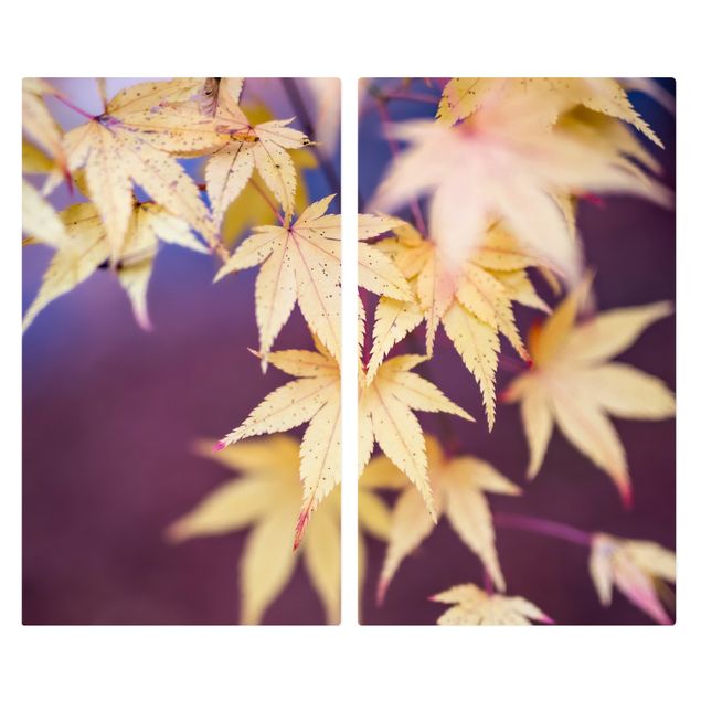Kookplaat afdekplaten Autumn Maple Tree