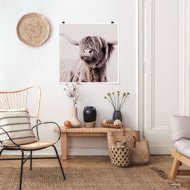 Posters Highland Cattle Frida In Beige
