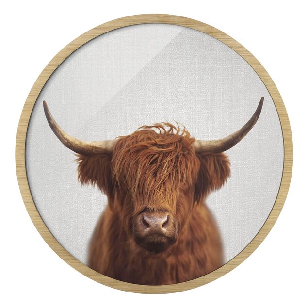 Rond schilderijen Highland Cow Harry