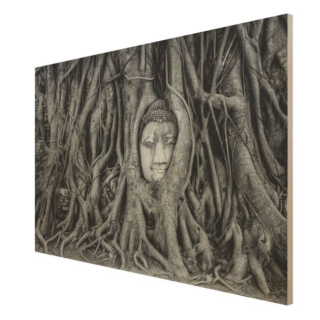 Houten schilderijen Buddha In Ayutthaya Lined From Tree Roots In Black And White