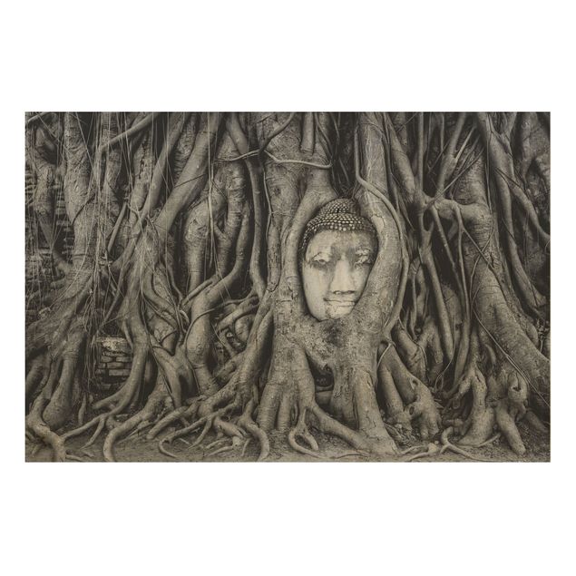 Houten schilderijen Buddha In Ayutthaya Lined From Tree Roots In Black And White