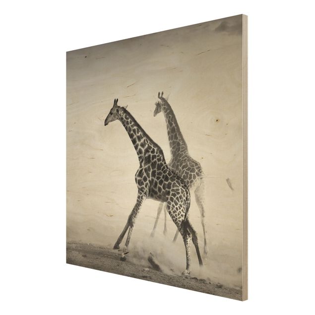Houten schilderijen Giraffe Hunt