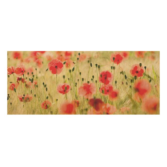Houten schilderijen Summer Poppies