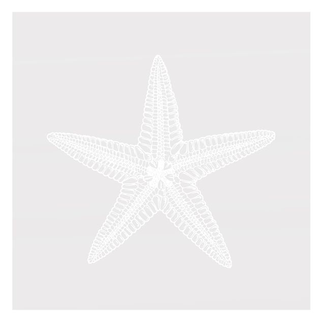 Raamfolie - Illustration Starfish