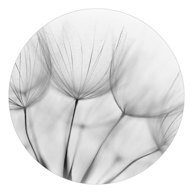 Behangcirkel Inside A Dandelion Black And White