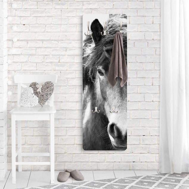 Wandkapstokken houten paneel Icelandic Horse In Black And White