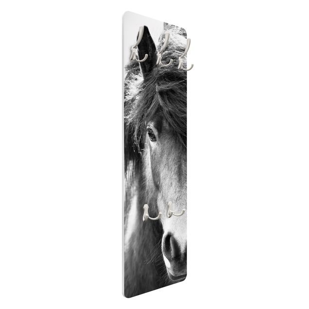 Wandkapstokken houten paneel Icelandic Horse In Black And White