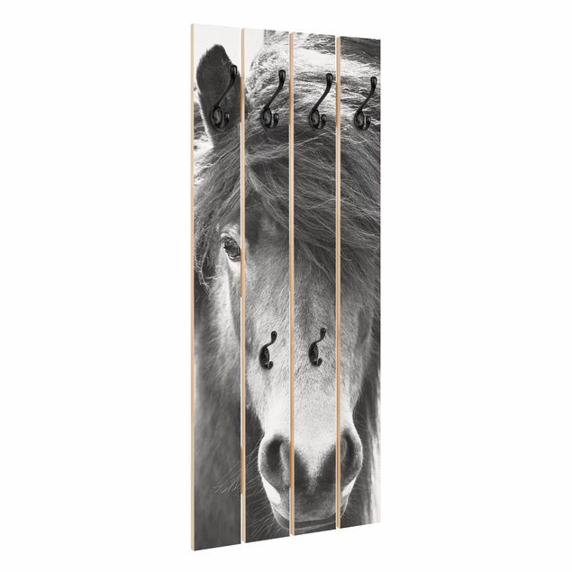 Wandkapstokken houten pallet Icelandic Horse In Black And White