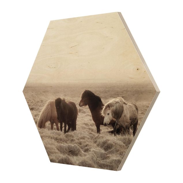 Hexagons houten schilderijen Wild Icelandic Horse