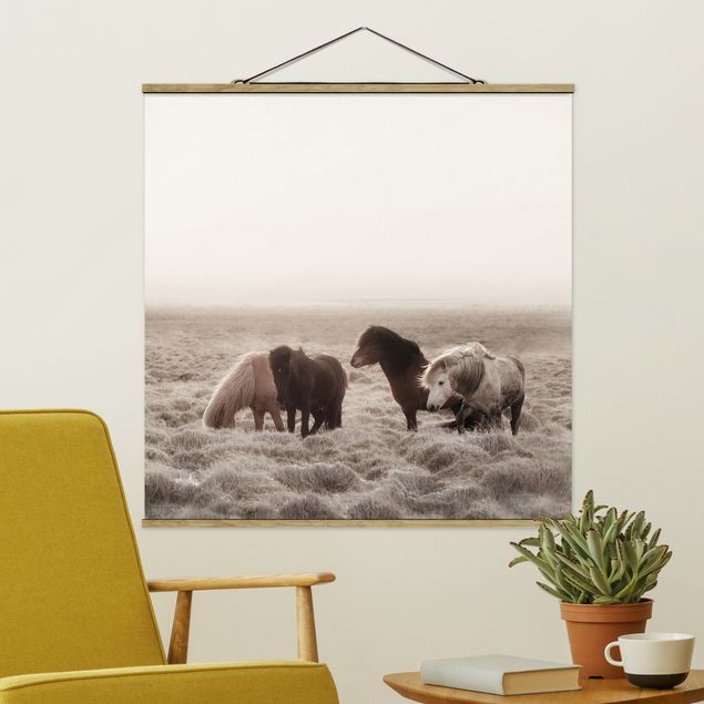 Stoffen schilderij met posterlijst Wild Icelandic Horse