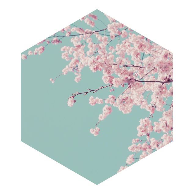 Hexagon Behang Japanese Cherry Blossoms