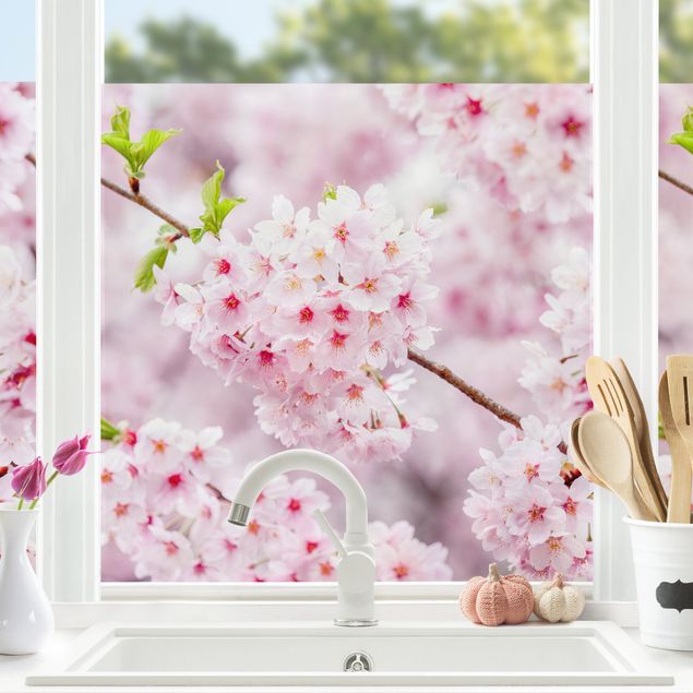 Raamfolie - Japanese Cherry Blossoms