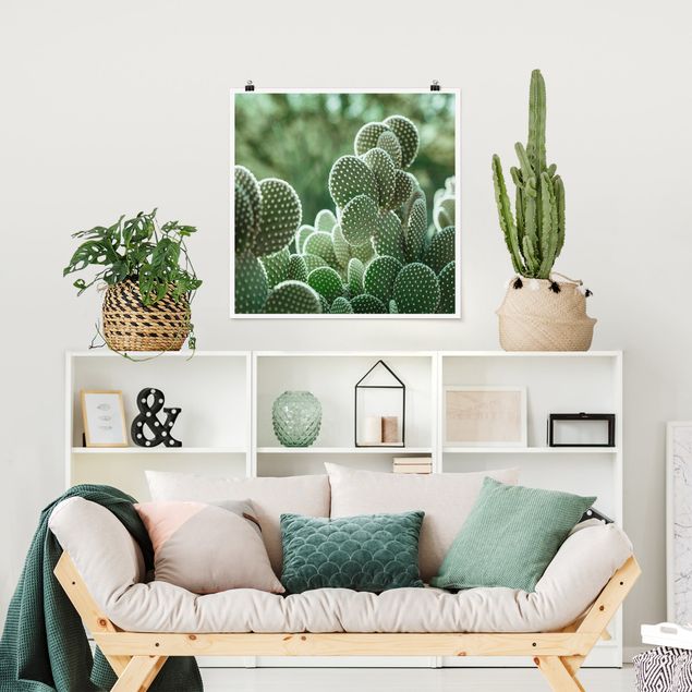 Posters Cacti