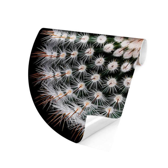 Behangcirkel Cactus Flower