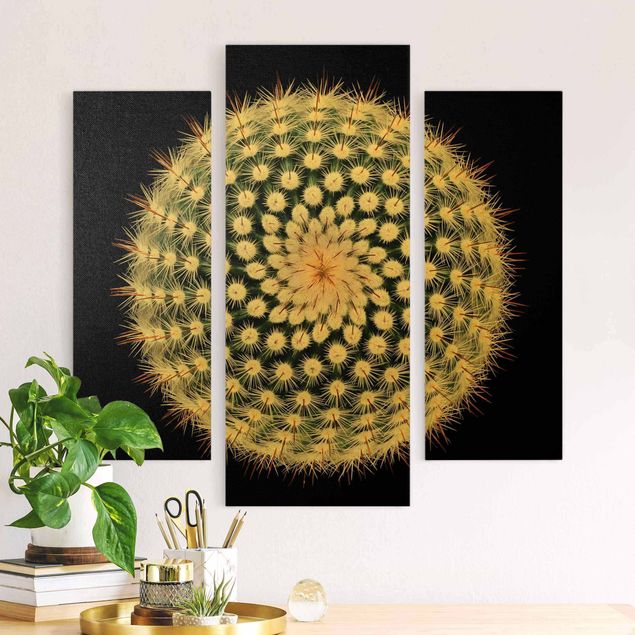 Canvas schilderijen - 3-delig Cactus Flower