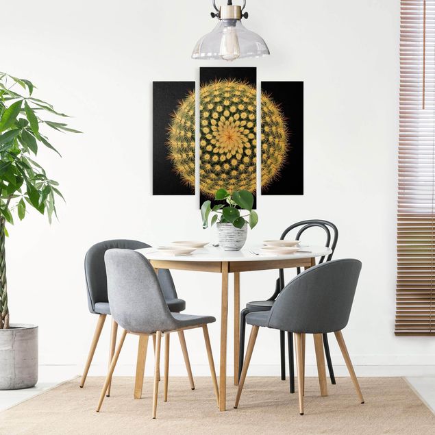 Canvas schilderijen - 3-delig Cactus Flower