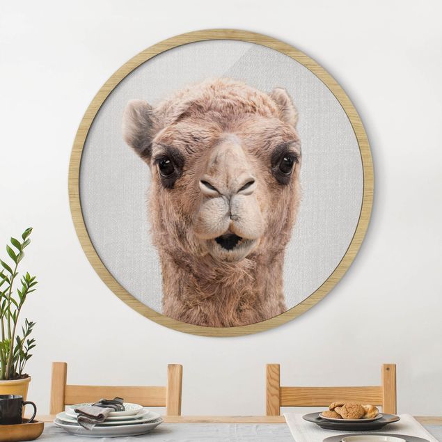 Gerahmte Bilder Rund Camel Konrad