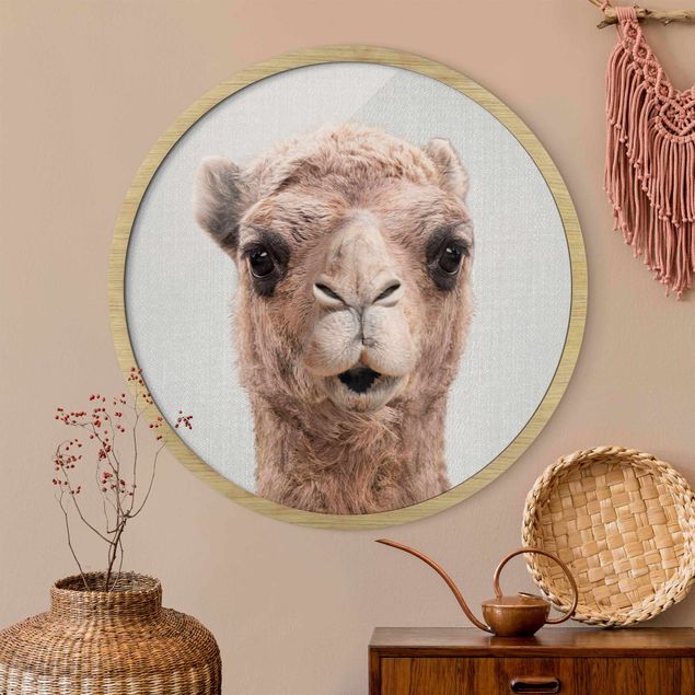 Rond schilderijen Camel Konrad