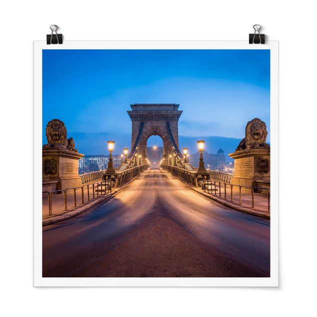 Posters Chain Bridge In Budapest At Night
