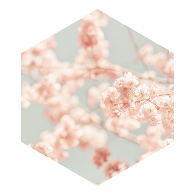 Hexagon Behang Cherry Blossom Glow
