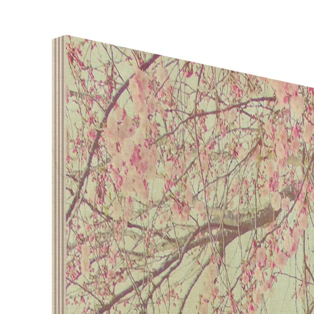 Houten schilderijen Cherry Blossom Yearning