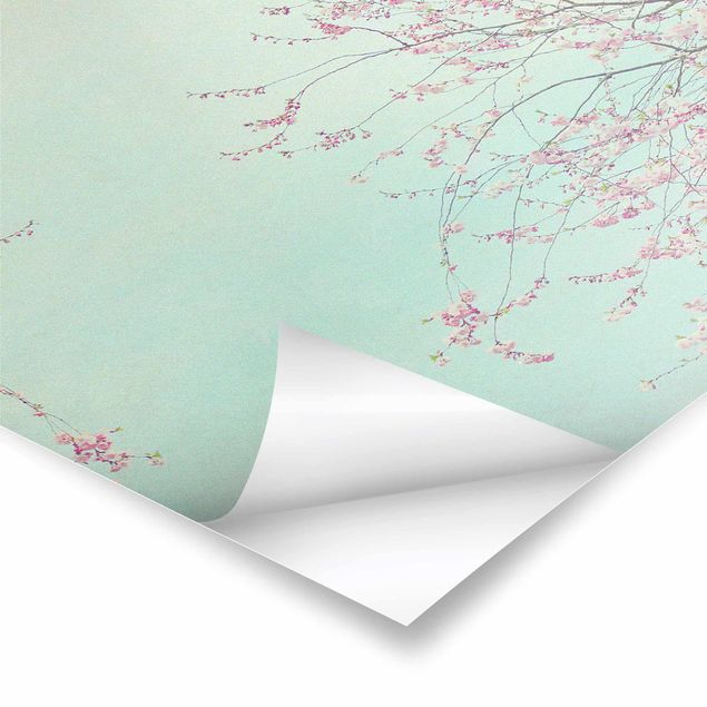 Posters Cherry Blossom Yearning