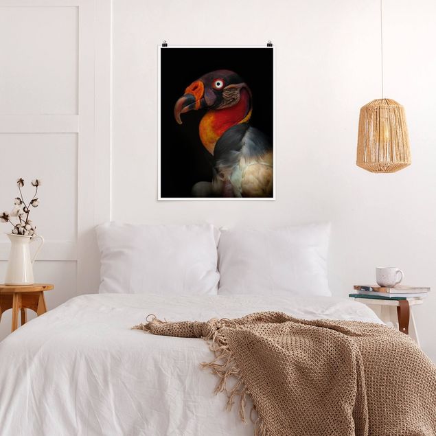 Posters King Vulture In Front Of Black