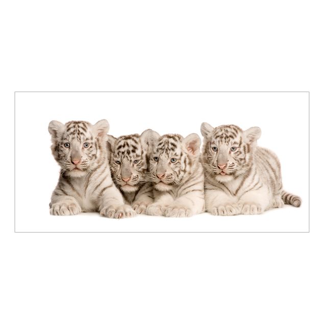 Raamfolie Bengal Tiger Babies