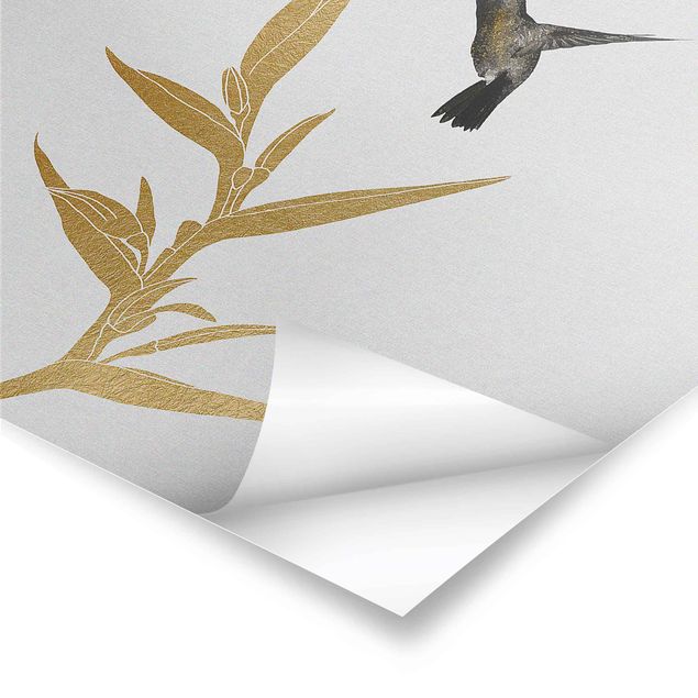 Posters Hummingbird And Tropical Golden Blossom II