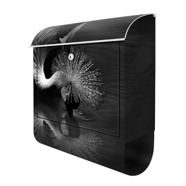 Brievenbussen Crowned Crane Bow Black And White