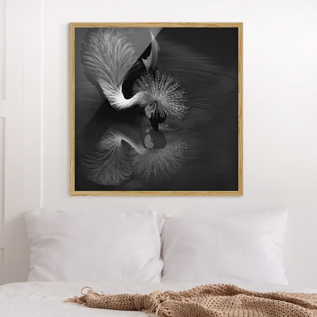 Ingelijste posters Crowned Crane Bow Black And White