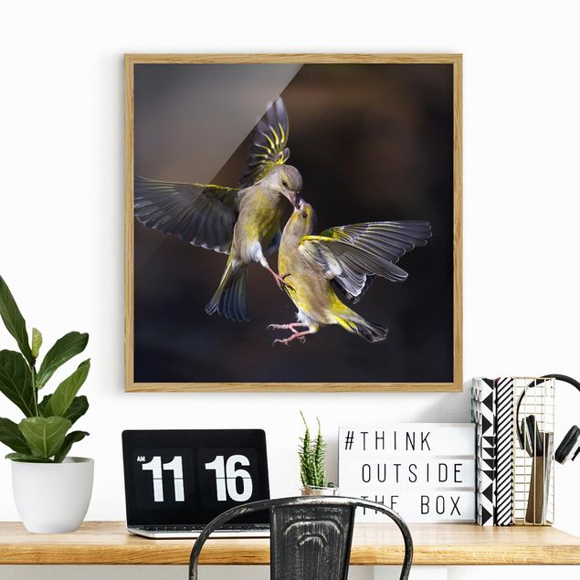 Ingelijste posters Kissing Hummingbirds