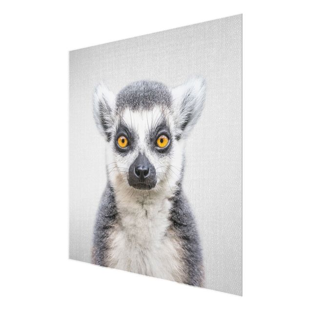 Glasschilderijen - Lemur Ludwig