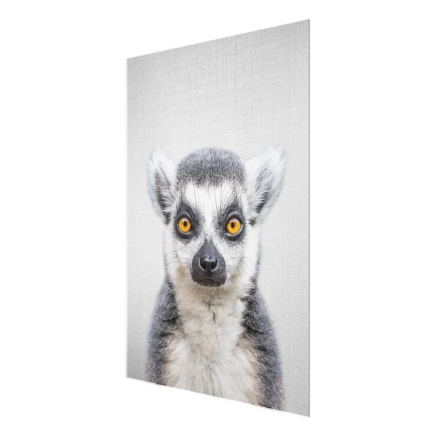 Glasschilderijen - Lemur Ludwig