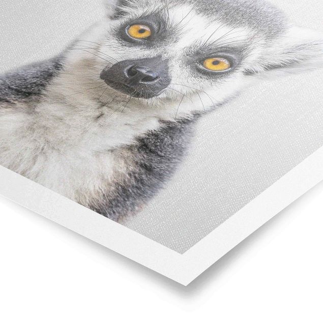 Poster - Lemur Ludwig - Quadrat 1:1
