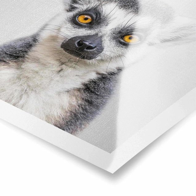Poster - Lemur Ludwig - Quadrat 1:1