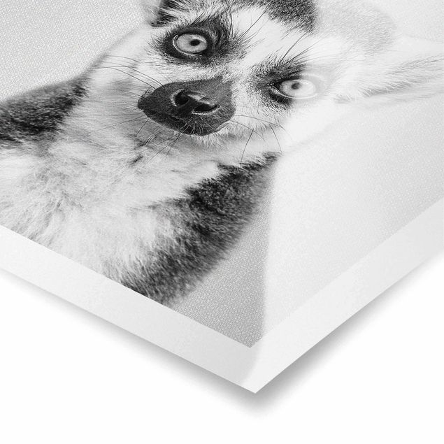 Poster - Lemur Ludwig Schwarz Weiß - Quadrat 1:1