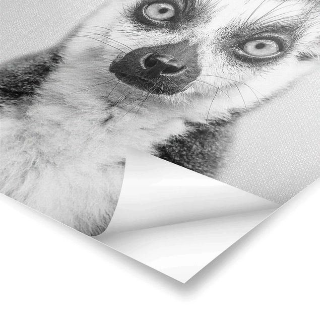 Poster - Lemur Ludwig Schwarz Weiß - Hochformat 3:4