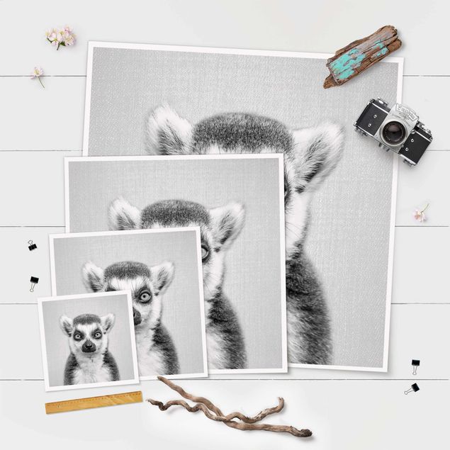 Poster - Lemur Ludwig Schwarz Weiß - Quadrat 1:1