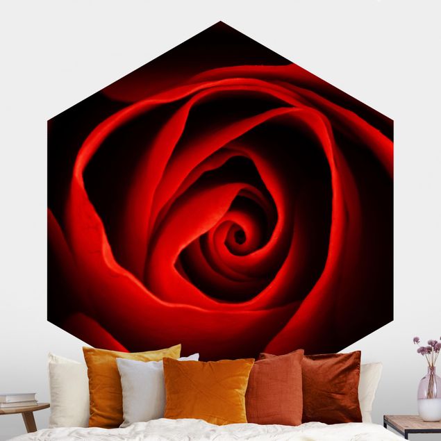Hexagon Behang Lovely Rose
