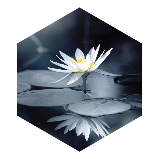 Hexagon Behang Lotus Reflection In The Water