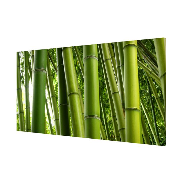 Magneetborden Bamboo Trees