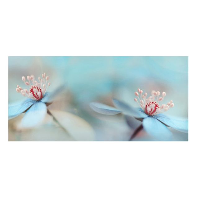 Magneetborden Flowers In Light Blue