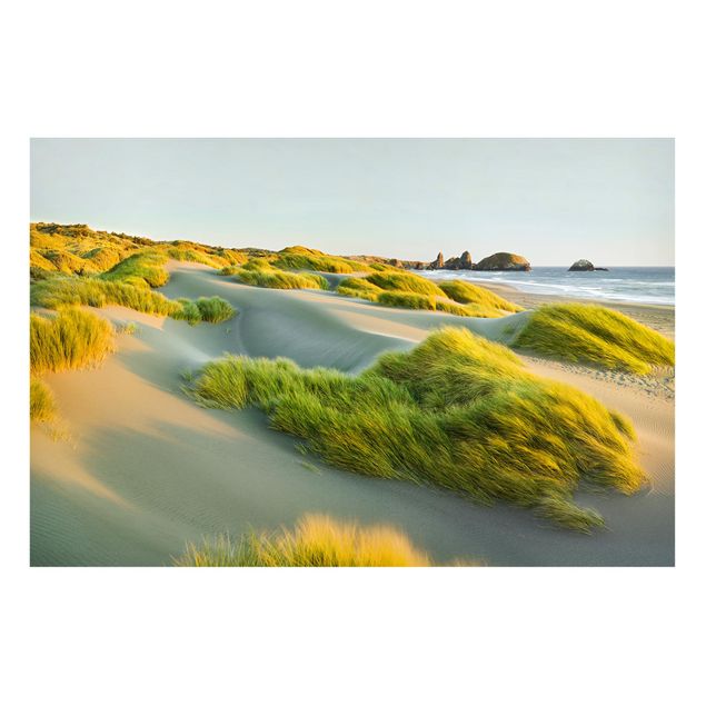 Magneetborden Dunes And Grasses At The Sea