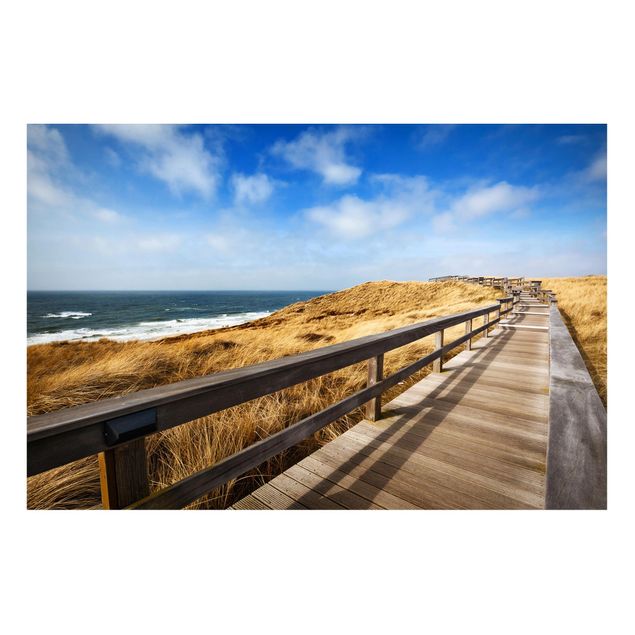 Magneetborden Path between dunes at the North Sea on Sylt