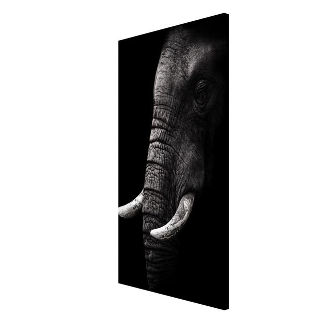Magneetborden Dark Elephant Portrait